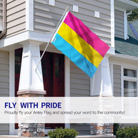 Anley Fly Breeze 3X5 Foot Pansexual Pride Flag - Vivid Color and Fade Proof - Canvas Header and Double Stitched - LGBT Flags Polyester with Brass Grommets 3 X 5 Ft